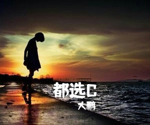 大鹏《都选C吉他谱》(G调)
