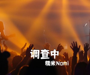 糯米Nomi《调查中吉他谱》(C调)
