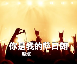 赵斌《你是我的萨日朗简谱》