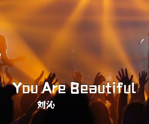 刘沁《You Are Beautiful吉他谱》(C调)