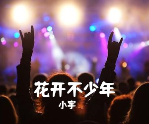 小宇《花开不少年吉他谱》