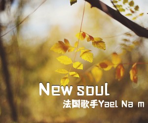 法**手Yael Naïm《New soul吉他谱》(C调)