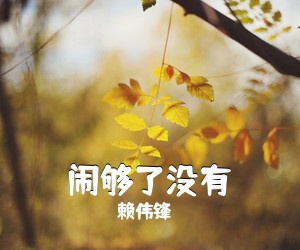 赖伟锋《闹够了没有吉他谱》(G调)