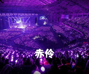 《赤伶吉他谱》(G调)