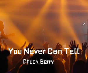Chuck Berry《You Never Can Tell简谱》