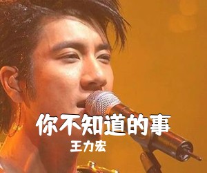 王力宏《你不知道的事吉他谱》(C调)