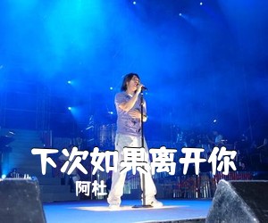 阿杜《下次如果离开你吉他谱》(C调)