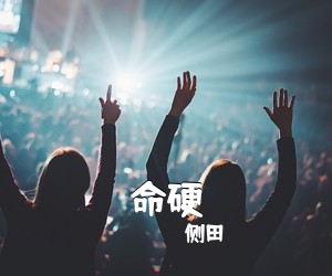 侧田《命硬吉他谱》(A调)