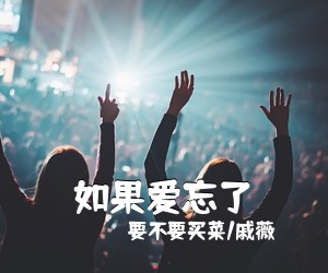 要不要买菜/戚薇《如果爱忘了吉他谱》(G调)