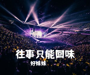 好妹妹《往事只能回味吉他谱》(G调)