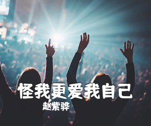 赵紫骅《怪我更爱我自己吉他谱》(D调)