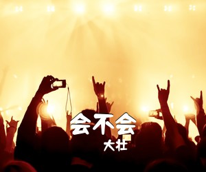 大壮《会不会吉他谱》(G调)
