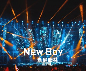 盘尼西林《New Boy吉他谱》(D调)