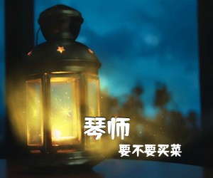 ***买菜《琴师吉他谱》(C调)