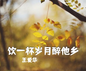 王爱华《饮一杯岁月醉他乡简谱》