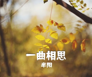半阳《一曲相思吉他谱》(G调)
