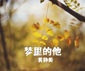 黄静美《梦里的他吉他谱》(C调)