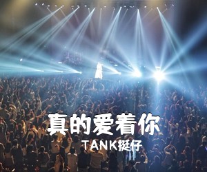 TANK挺仔《真的爱着你吉他谱》(C调)