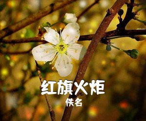 佚名《红旗火炬简谱》