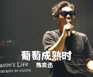 陈奕迅《葡萄成熟时吉他谱》(A调)