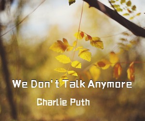 Charlie Puth《We Don't Talk Anymore吉他谱》(E调)