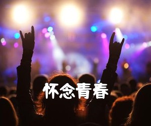 《怀念青春吉他谱》(G调)