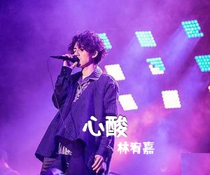 林宥嘉《心酸吉他谱》(G调)