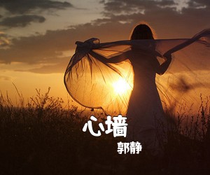 郭静《心墙吉他谱》(C调)