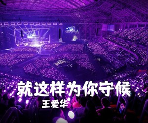 王爱华《就这样为你守候简谱》