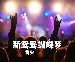 黄安《新鸳鸯蝴蝶梦吉他谱》(G调)