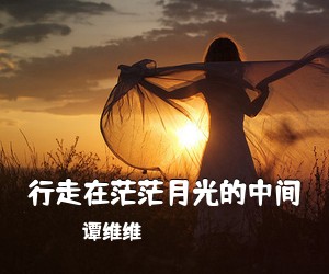 谭维维《行走在茫茫月光的中间吉他谱》