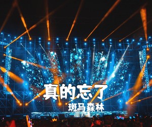 斑马森林《真的忘了吉他谱》(C调)