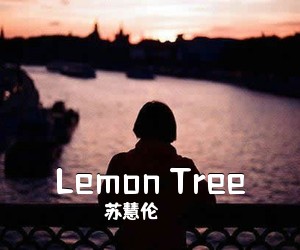 苏慧伦《Lemon Tree吉他谱》(C调)