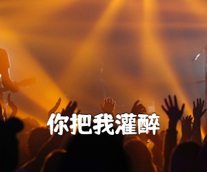 《你把我灌醉吉他谱》(F调)