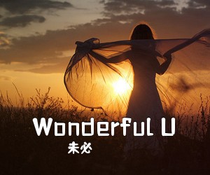 未必《Wonderful U吉他谱》(E调)
