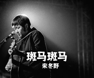 宋冬野《斑马斑马吉他谱》(G调)