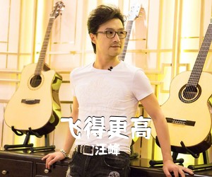 汪峰《飞得更高吉他谱》(G调)