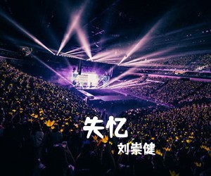 刘崇健《失忆吉他谱》(C调)