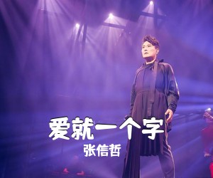 张信哲《爱就一个字吉他谱》