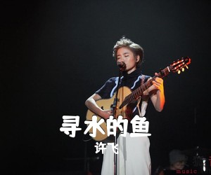 许飞《寻水的鱼吉他谱》(E调)