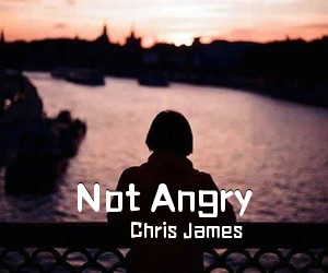 Chris James《Not Angry吉他谱》(C调)