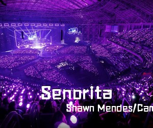 Shawn Mendes/Camila Cabello《Senorita吉他谱》(C调)