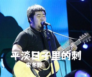 宋冬野《平淡日子里的刺吉他谱》