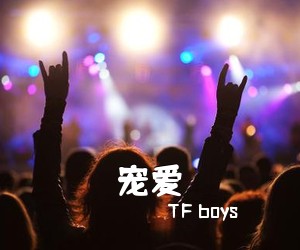 TF boys《宠爱吉他谱》(G调)
