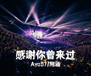 Ayo97/阿涵《感谢你曾来过吉他谱》(G调)
