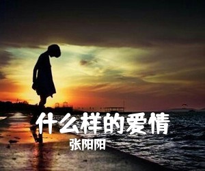 张阳阳《什么样的爱情吉他谱》