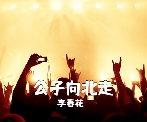 李春花《公子向北走吉他谱》(G调)