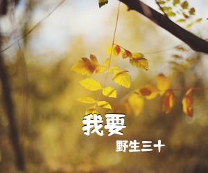 野生三十《我要吉他谱》(G调)