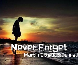 Martin O'Donnell Michael Salvatori《Never Forget简谱》