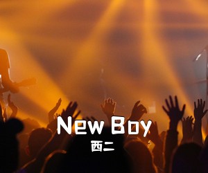 西二《New Boy吉他谱》(C调)